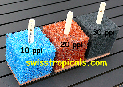 http://www.swisstropicals.com/Web%20pictures%20600%20dpi/Poret/4%20inch%20cube%2010-30%20PPI%20colors.JPG