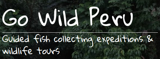 Go Wild Peru Logo
